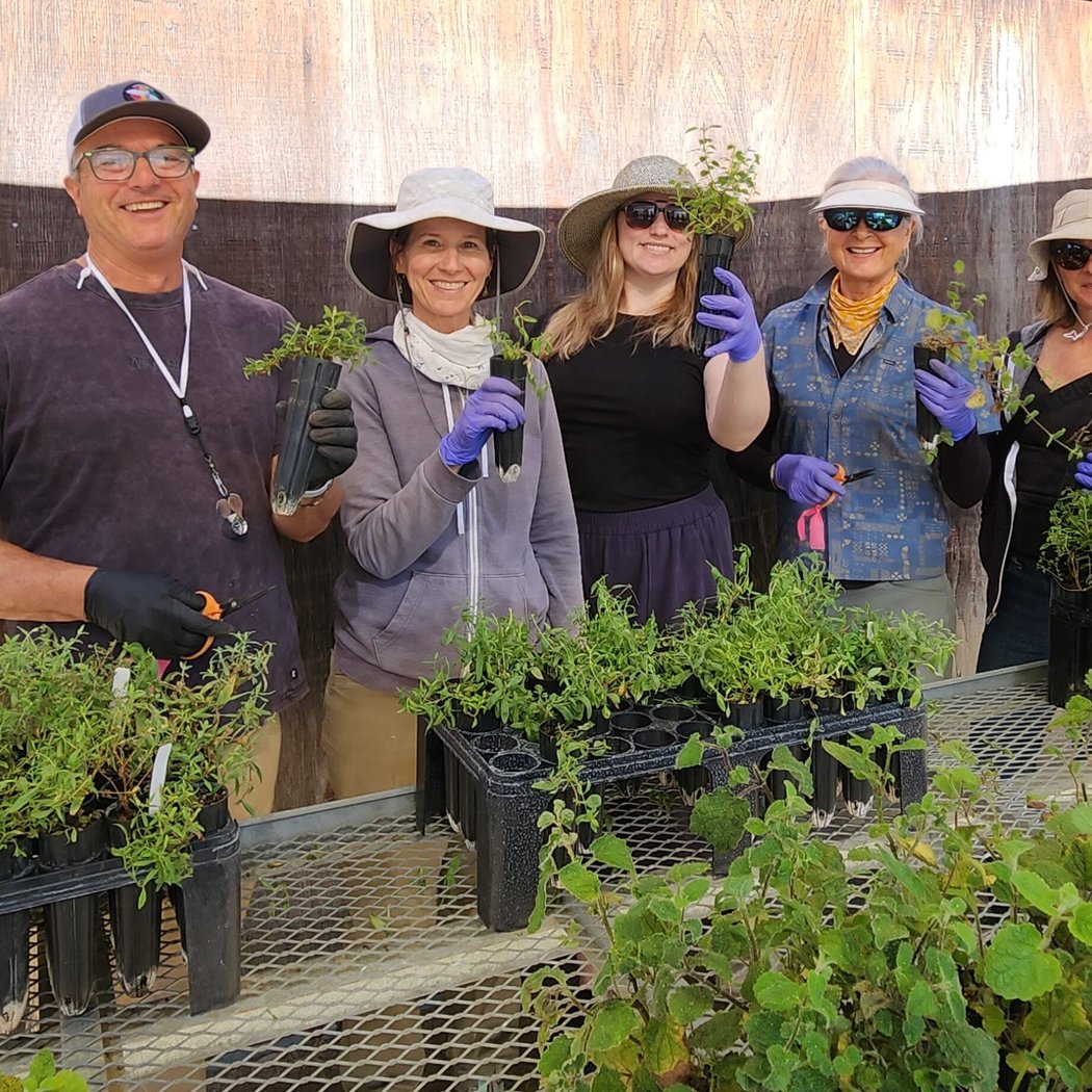Native Plant Work and Learn Day 1