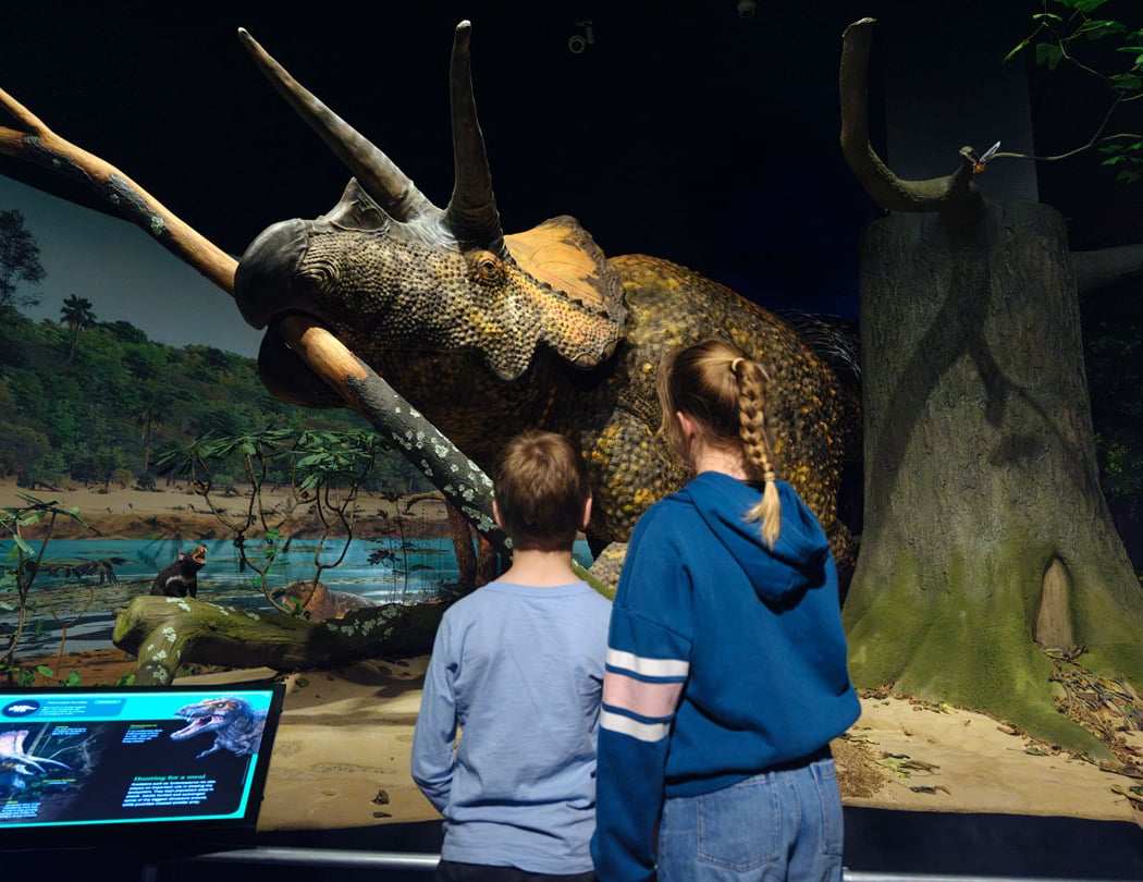 Dinosaur Adventure 1