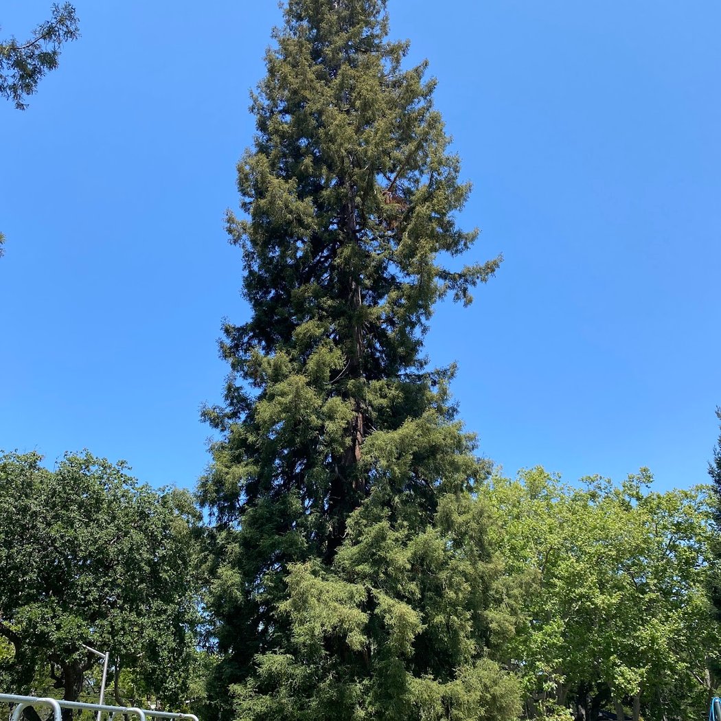 Rinconada park playground 3