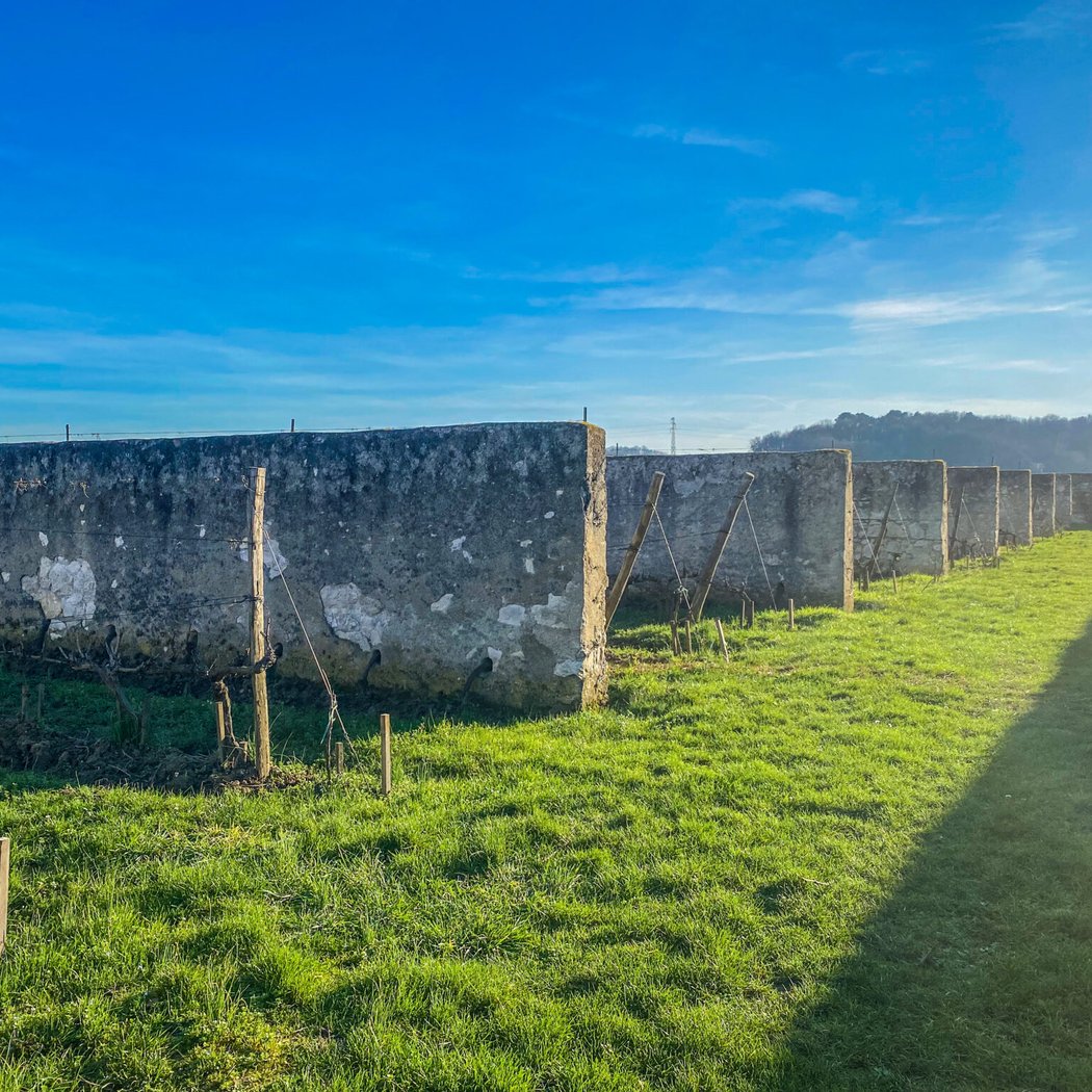 ATELIER DU 8 JUIN : LES VINS DE VIGNOBLES ANTHROPIQUES 2