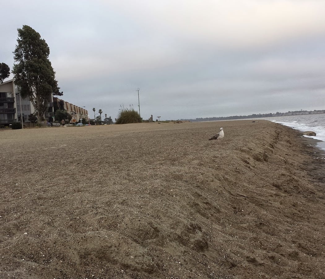 Shore Line Drive 5