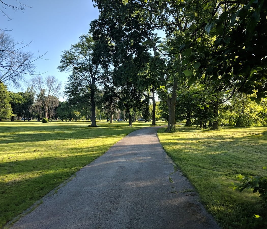 Washington Park Tree Walk 1