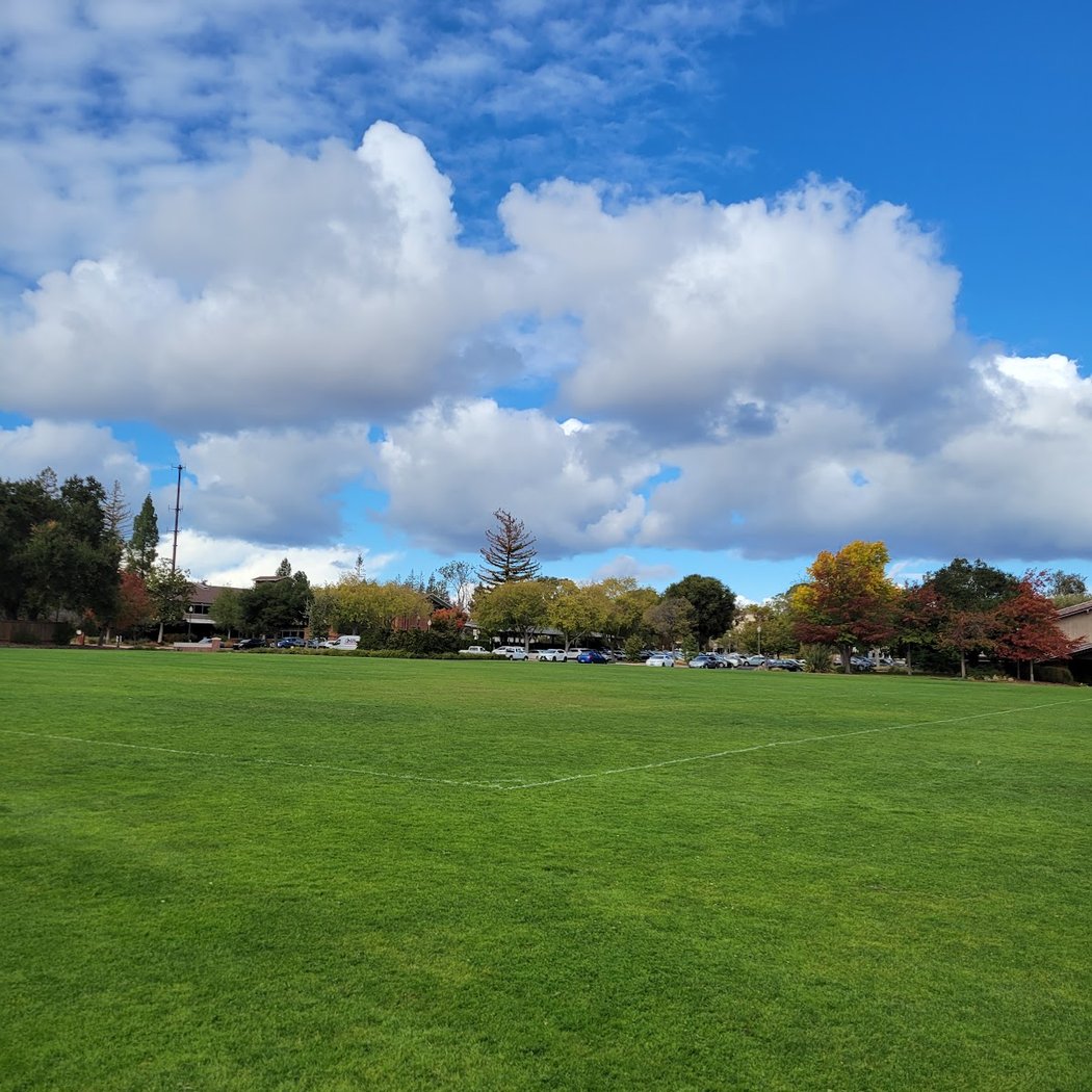 Burgess Park 1