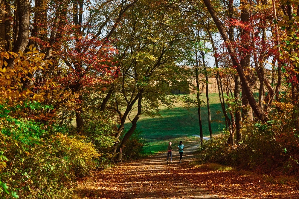 Autumn Discovery Hike 1
