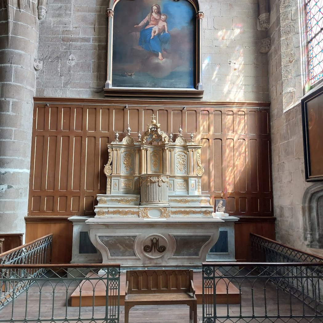 Visites commentées par l'Association du patrimoine de Notre-Dame-de-Pitié 5