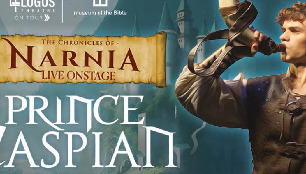 Prince Caspian Live onstage 2