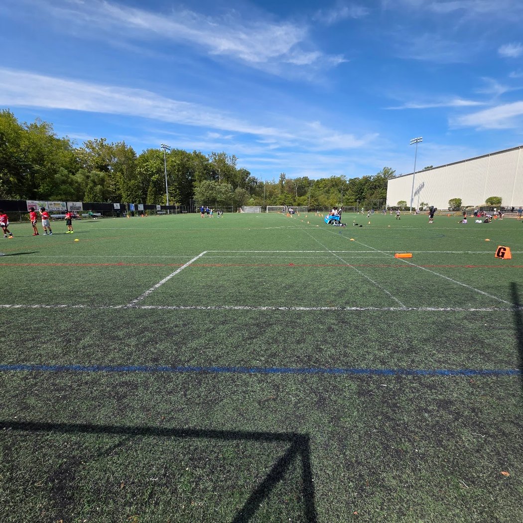 Total Turf , Pitman Nj 1