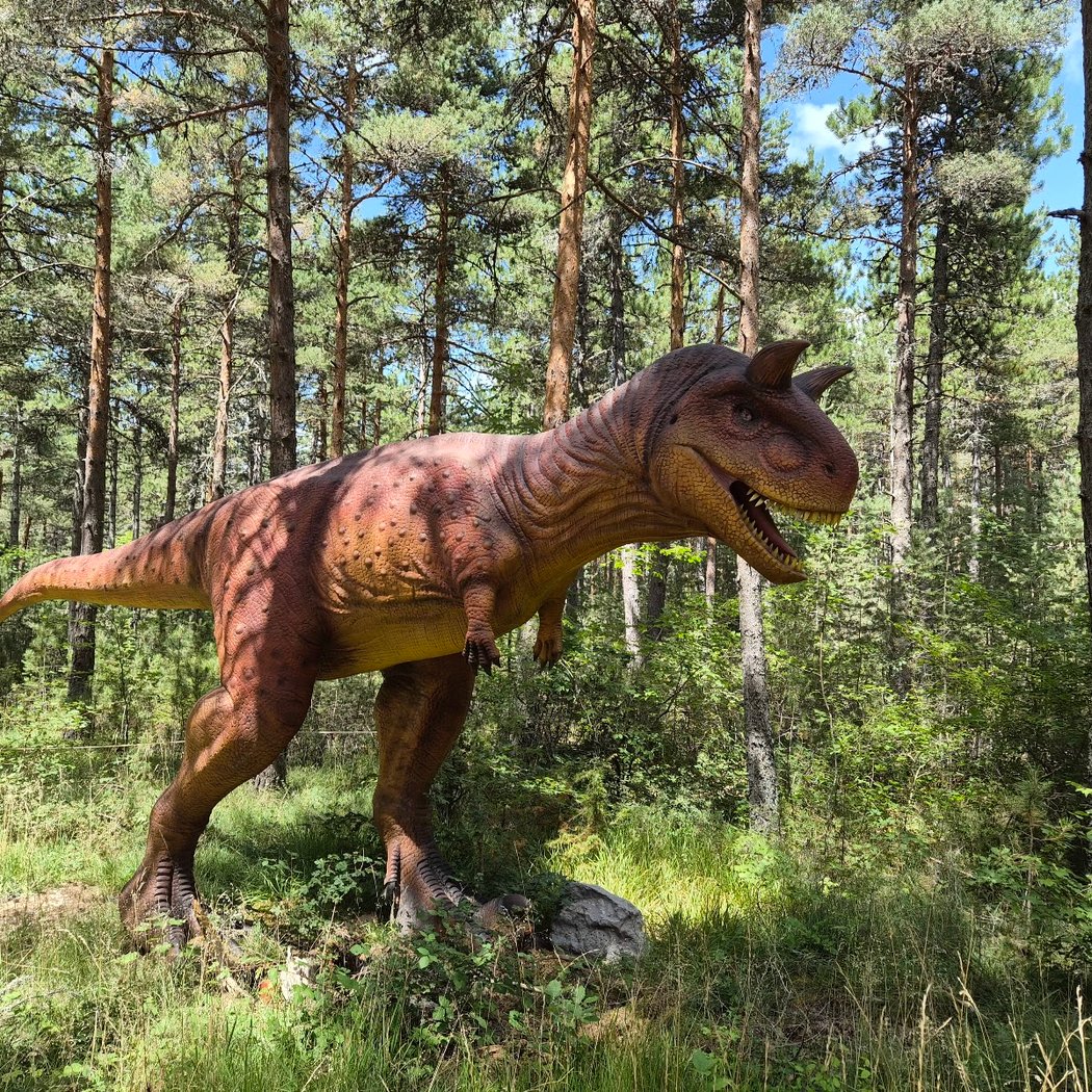 Dinopedia Parc Mende - Lozère 2