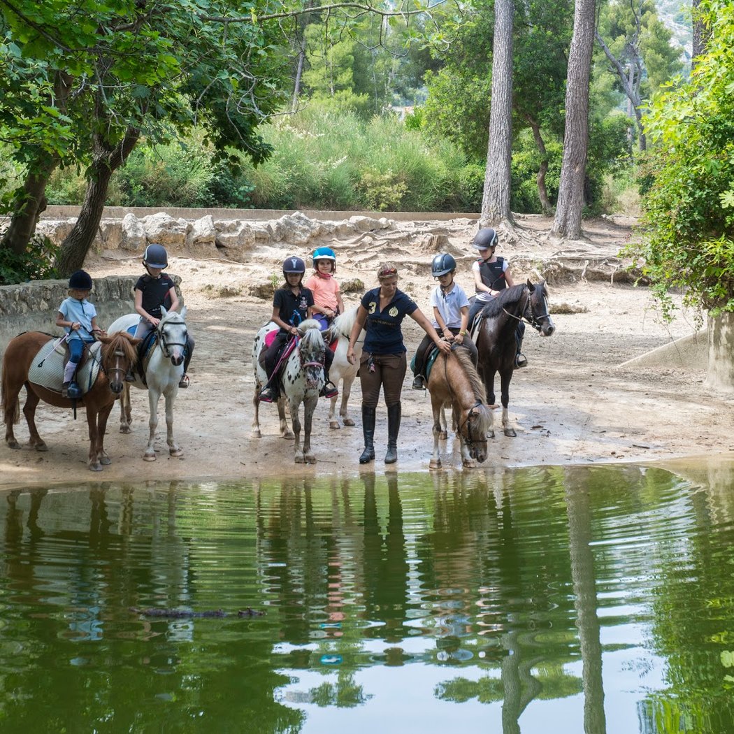 Stage d'équitation 1