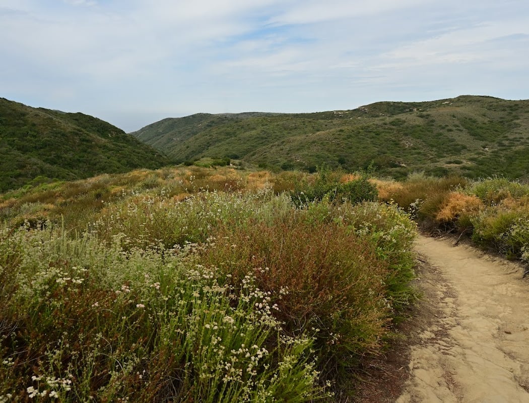 Trail Stewardship – Old Emerald 3