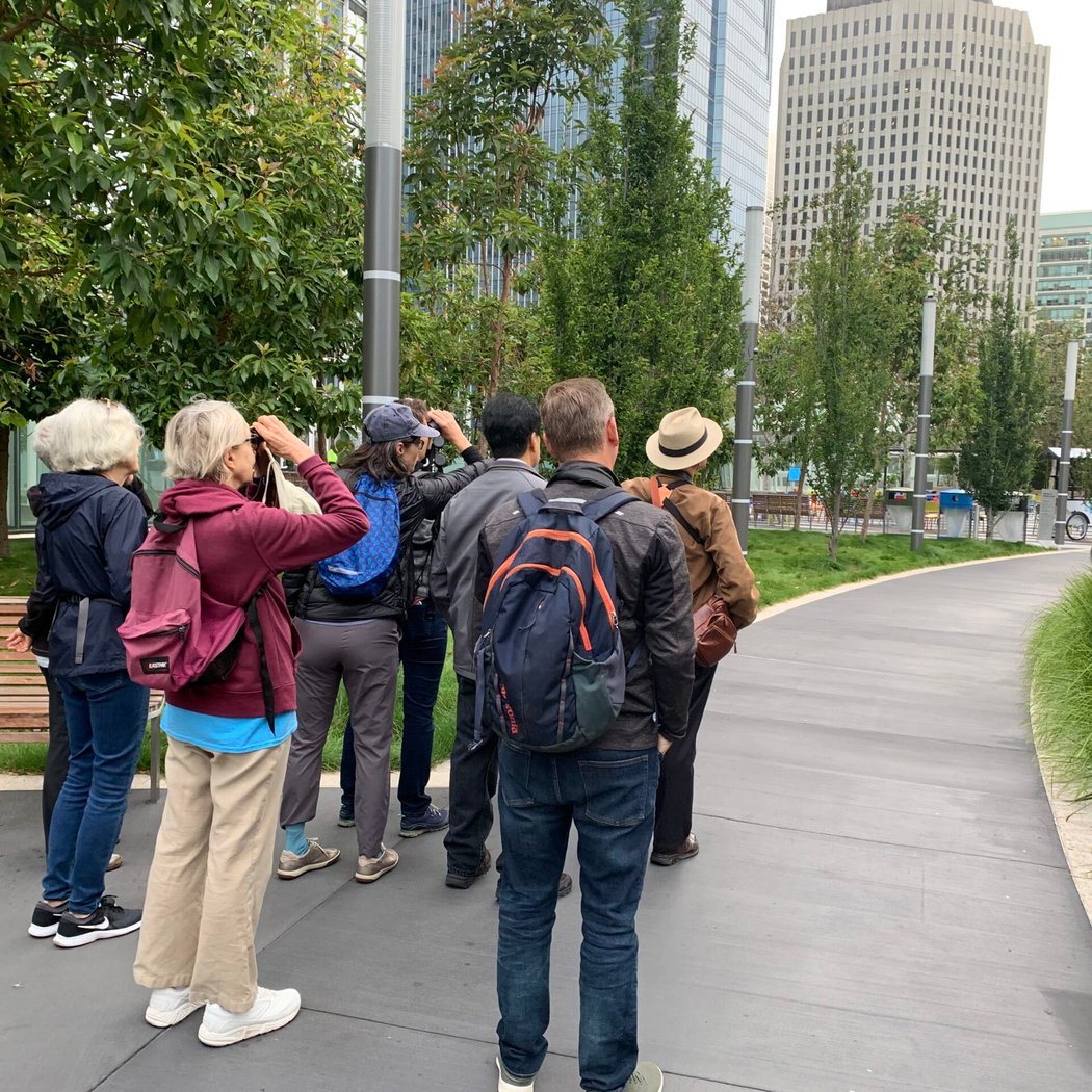 Birding Walk 1