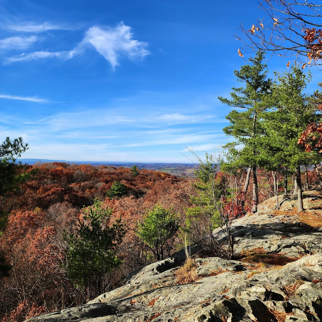 Wilson M. Powell Wildlife Sanctuary 1