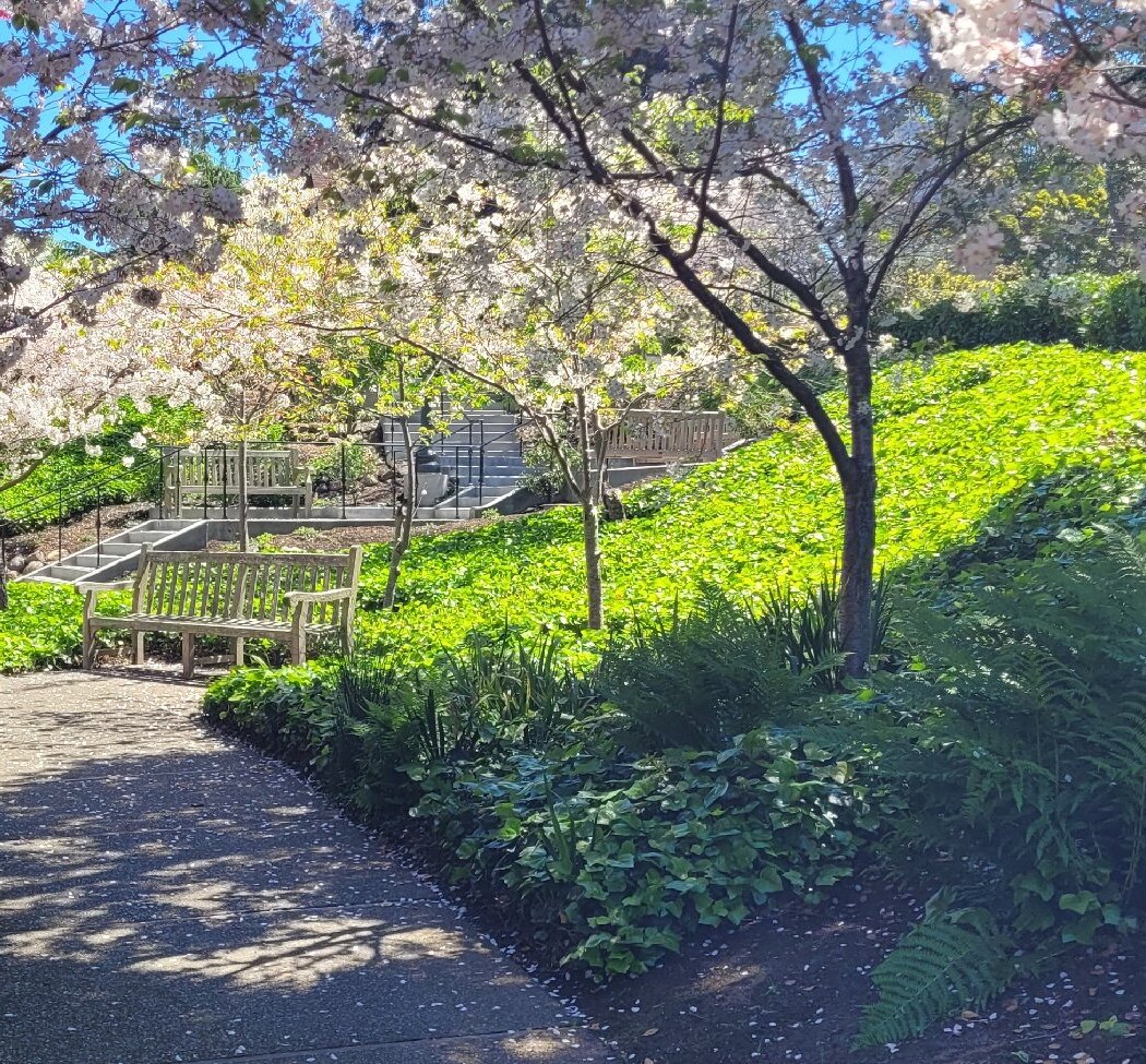 Piedmont Park 1