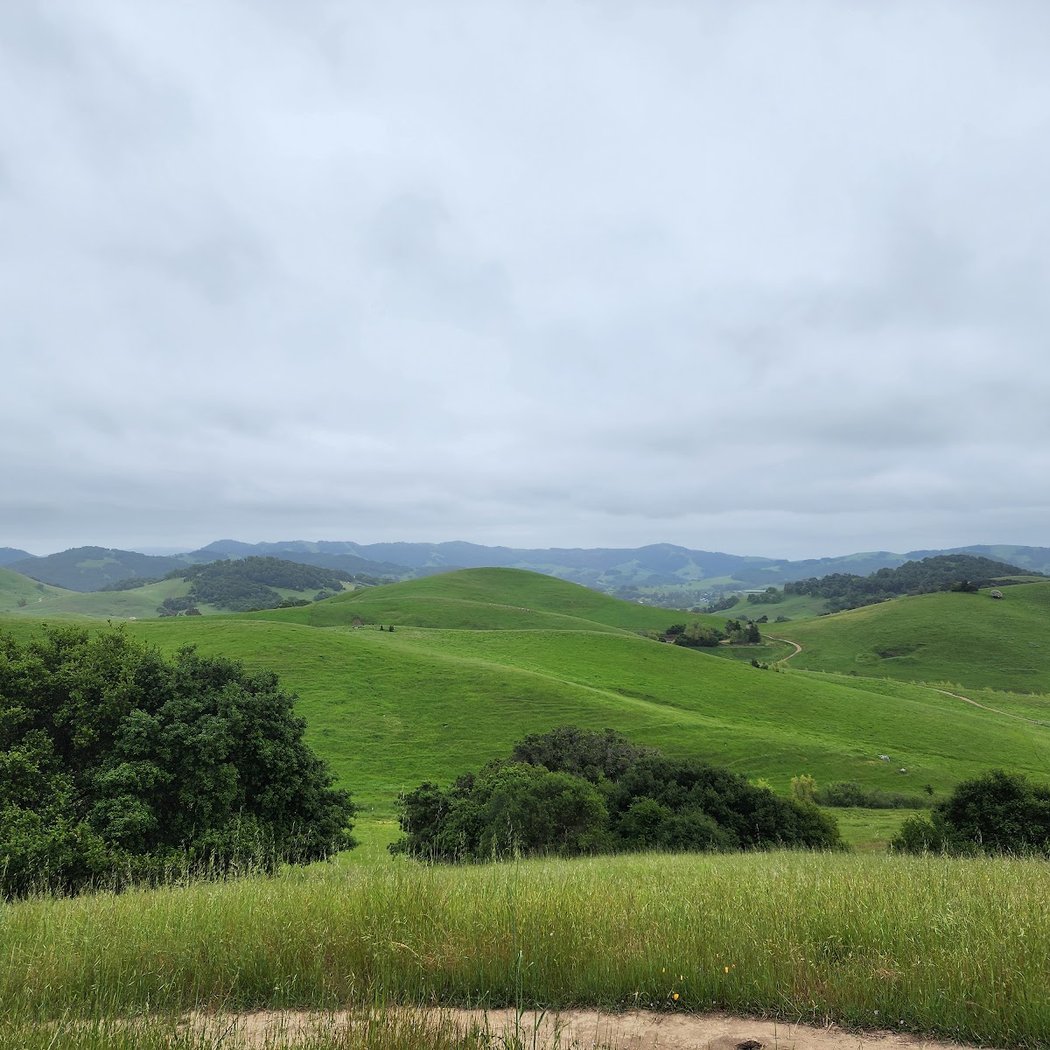 Helen Putnam Regional Park: Windsor Drive Trailhead 2