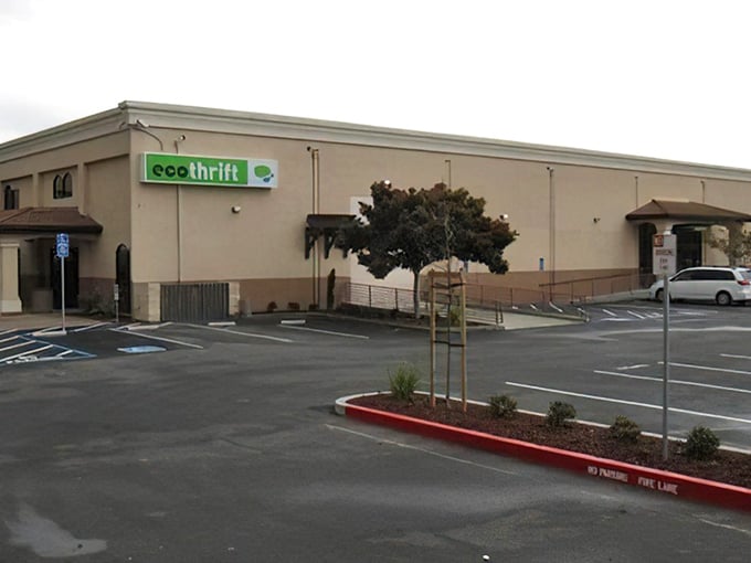 Eco Thrift Hayward 3