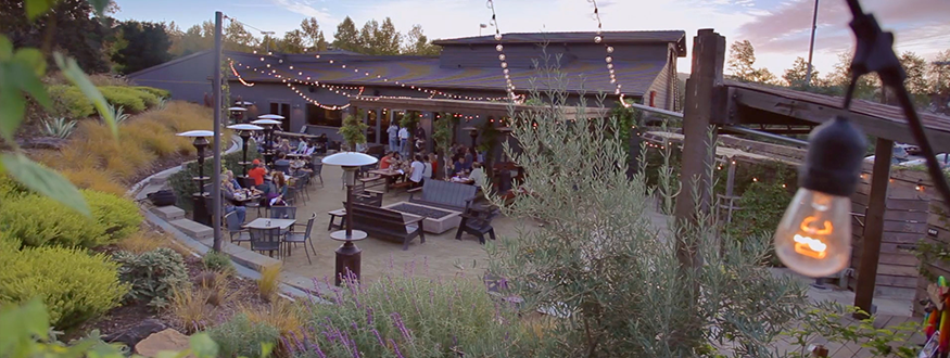 Josh Brough String Band | Free Beergarden Show 3