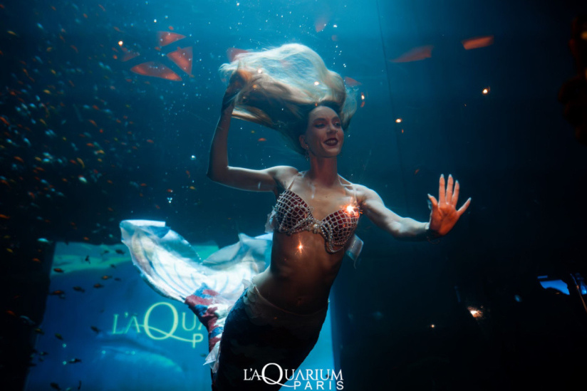 Aquarium Club Paris 1