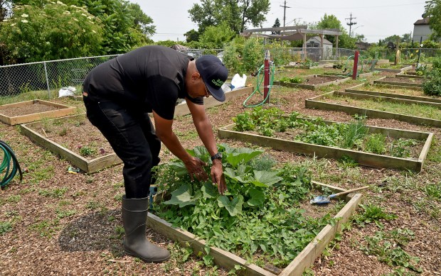 Filbert Street Garden Community Open Hours & Stewardship Day 2