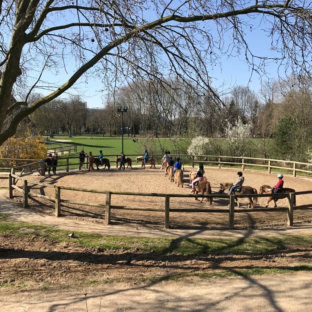 Poney club de l'Île Saint-Germain 1
