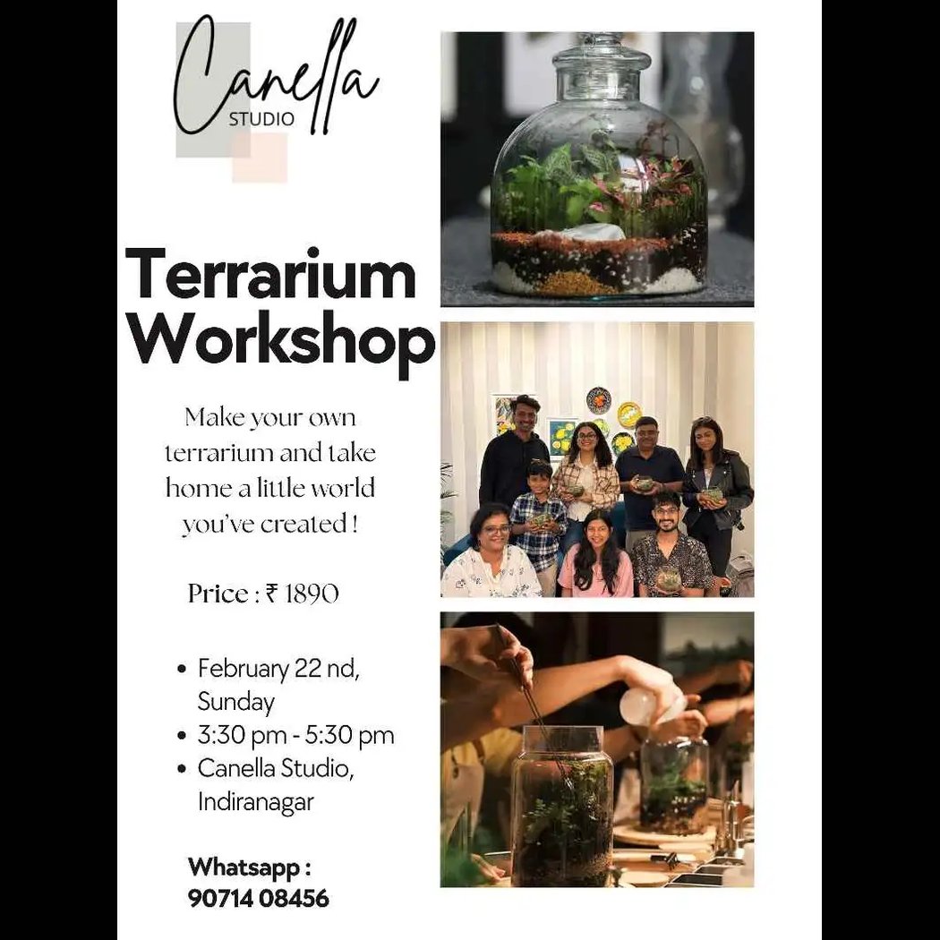 Terrarium Workshop 1