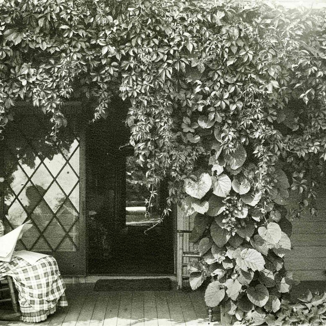 335 Years a Home: 40 Years a Museum Celebrating the Alice Austen House 1
