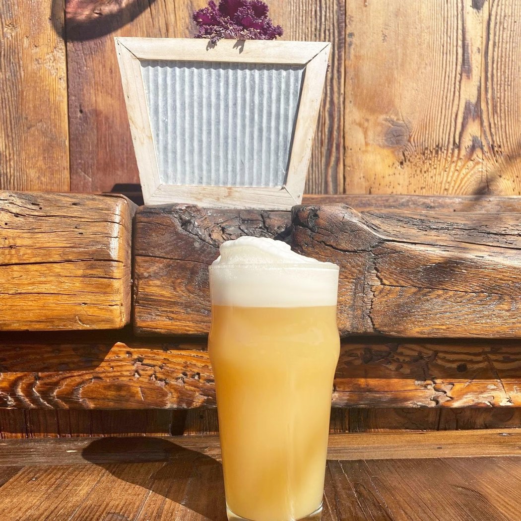 Twin Elephant Brewing Company 3