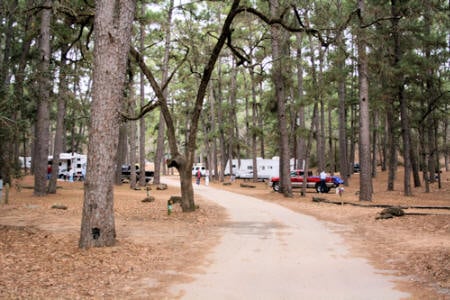 Bastrop State Park 2