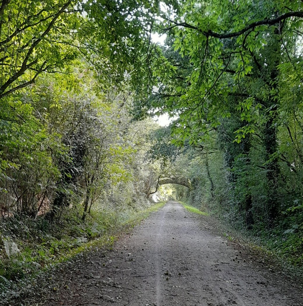 Voie verte Bressuire - Nueil-Les-Aubiers 1