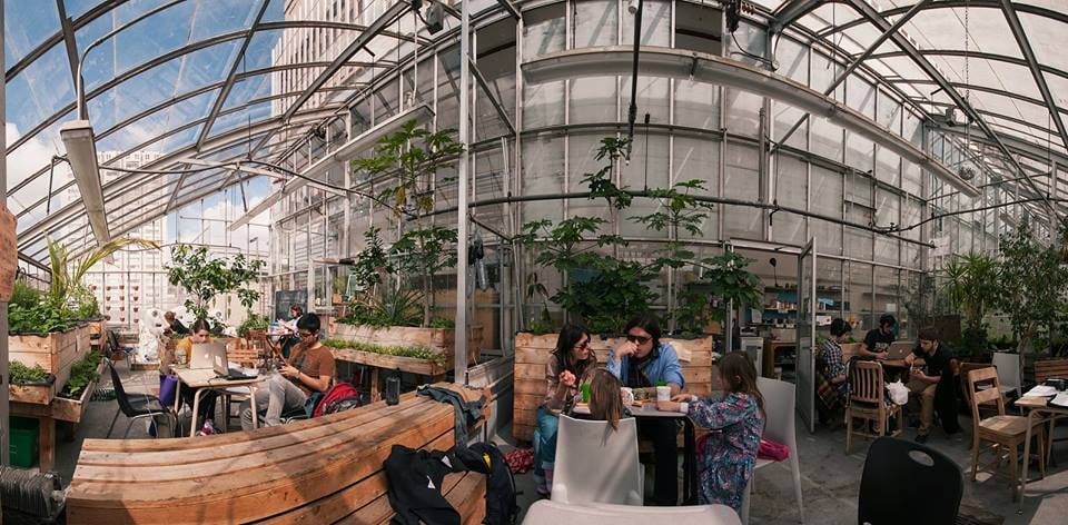 Concordia Greenhouse 2