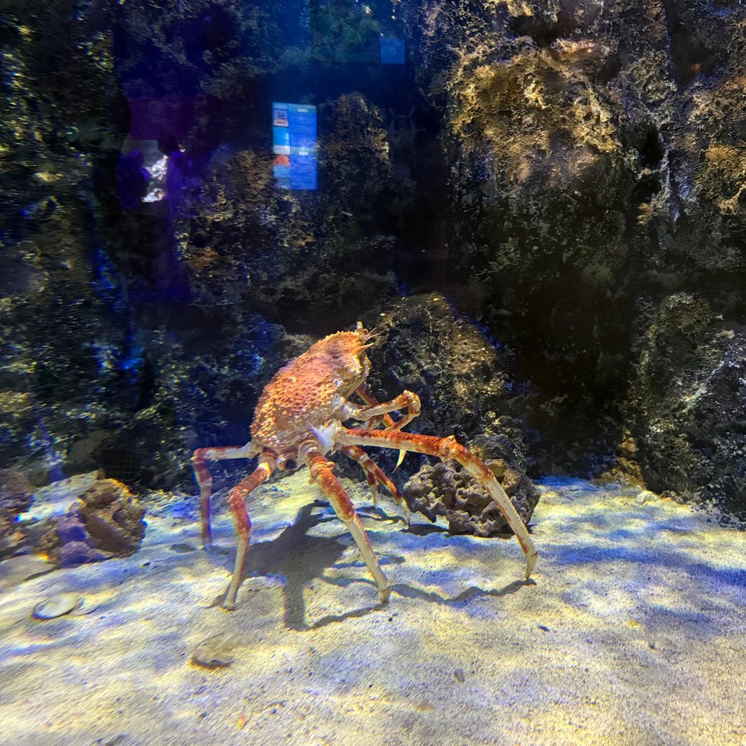 VIA Aquarium 2