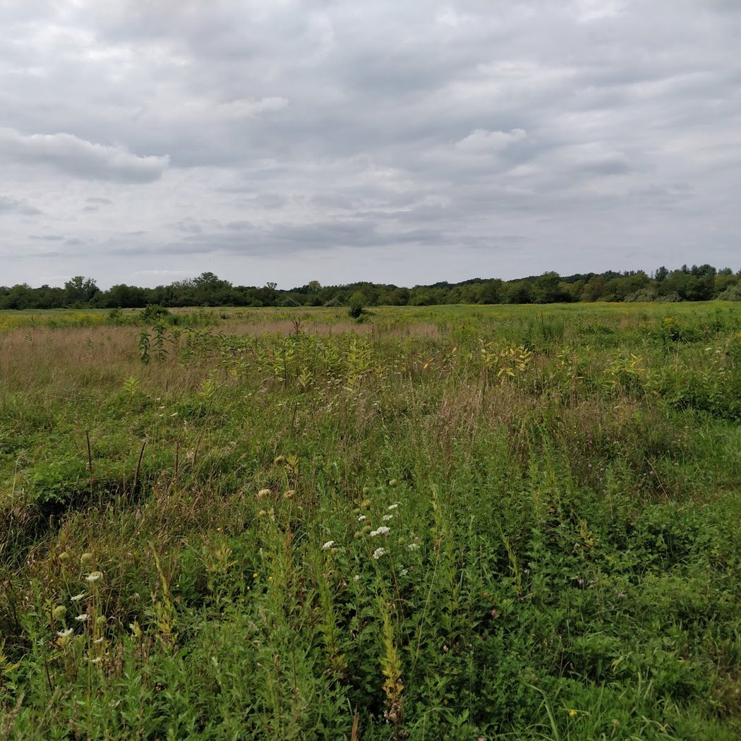 Stillwell Woods Park 3