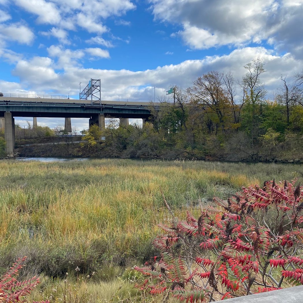 Little Hell Gate Salt Marsh 1