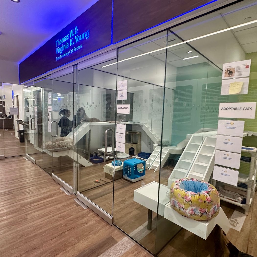 Bideawee Pet Adoption Center 2