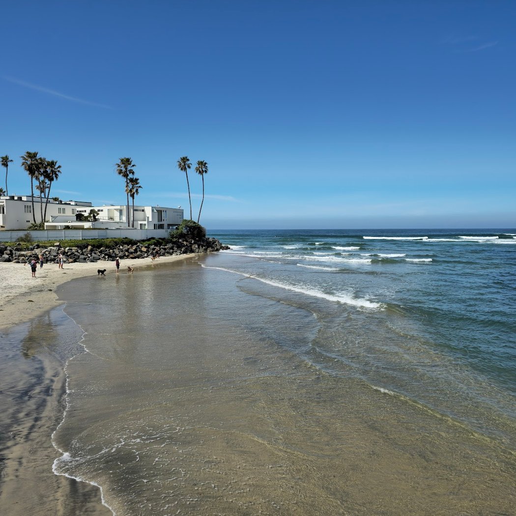 Del Mar Dog Beach 3