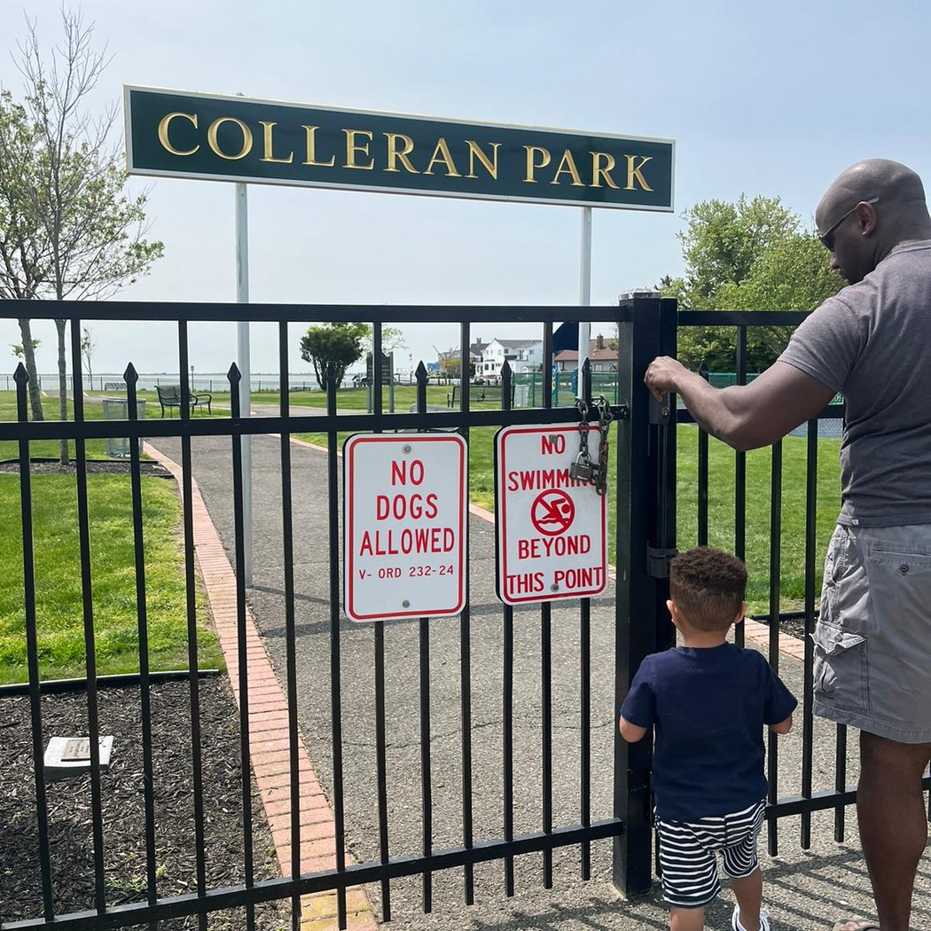Colleran Park 3