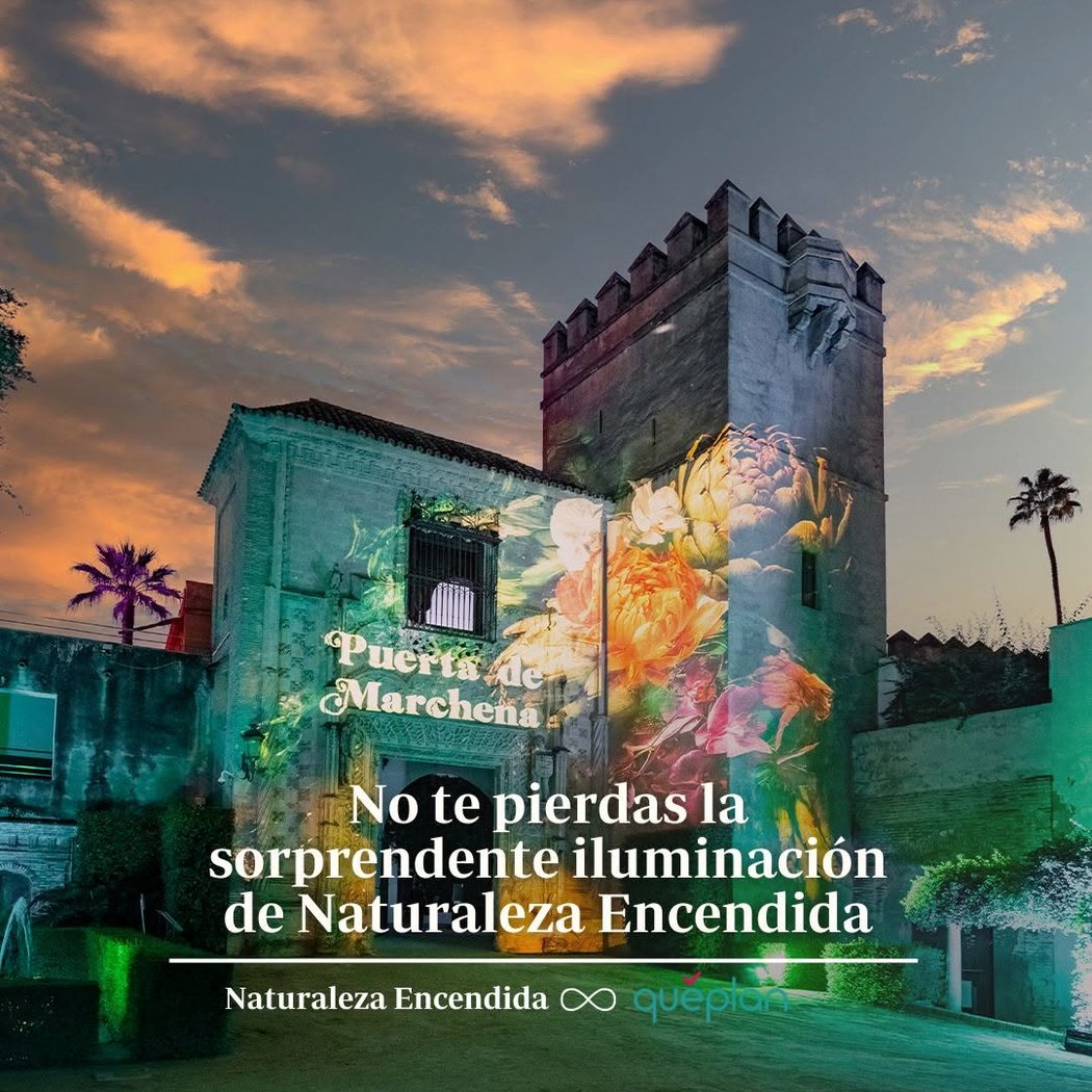 Naturaleza encendida 2