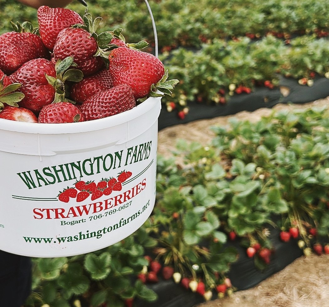 Washington Farms 3