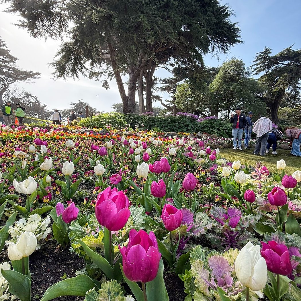 Golden Gate Park: West EndBreakers, Old Trains & Windmills! Tour 4