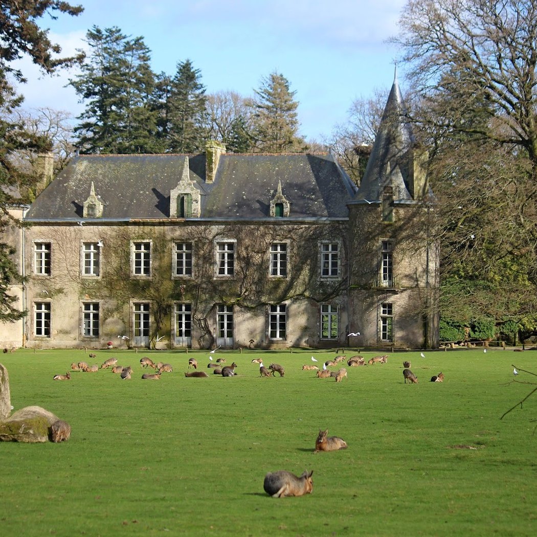 RDV pour la conservation : Manchots de Humboldt 1