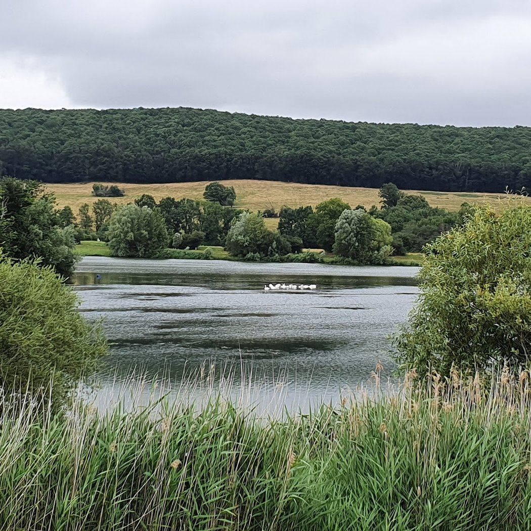 Lac de Virlay 3