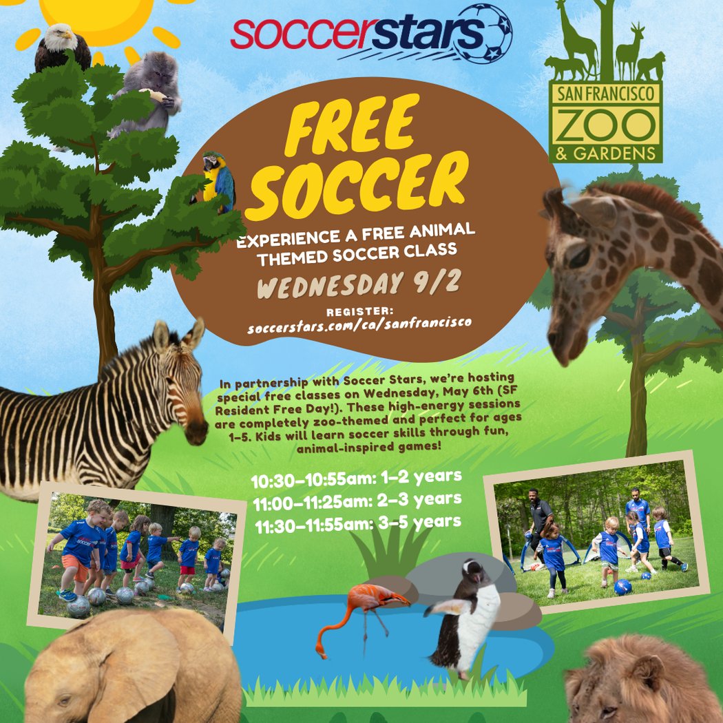 Free Kids Soccer at the SF Zoo