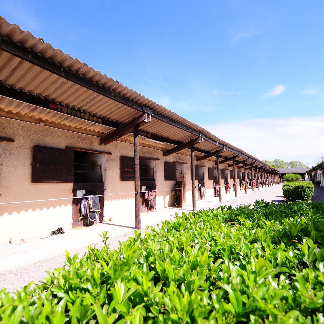 Equestrian Field De Chevillon 3