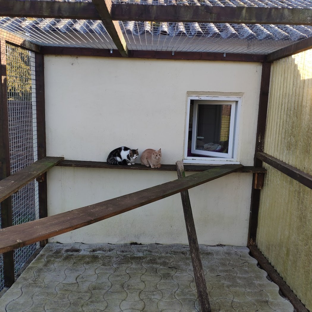 ChateauduChat 3