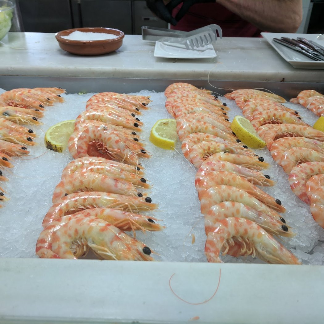 Lonja de Feria 1