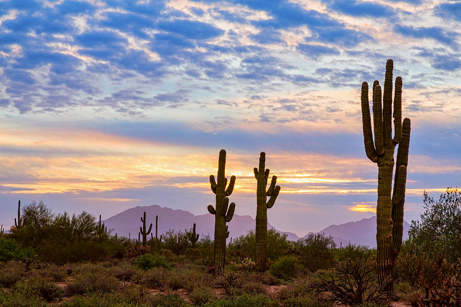 Sunrise Hike at Pinnacle Peak 2