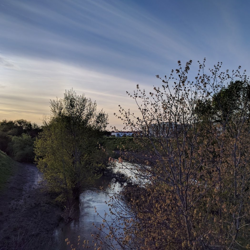 Guadalupe River Trail 3