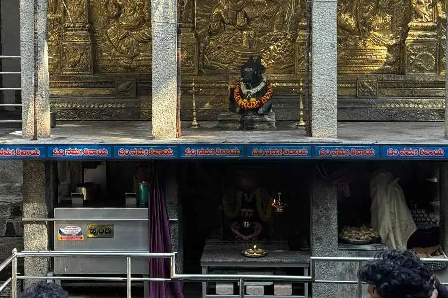 Malleshwaram Heritage Trail 3