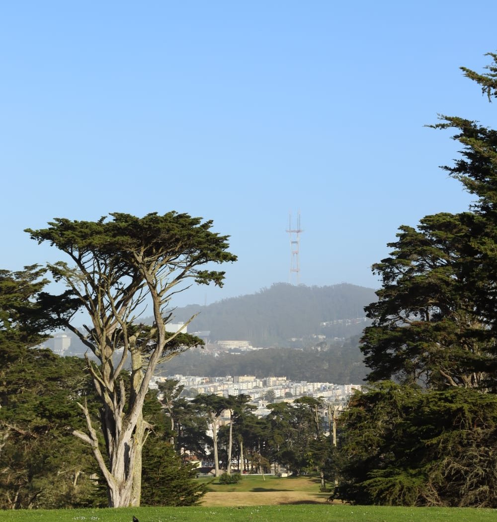 Lincoln Park Golf Course 3