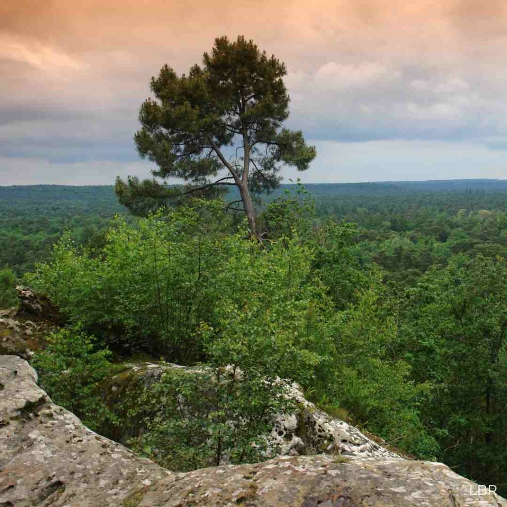 Massif des Trois Pignons 2