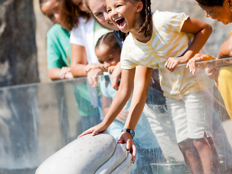 Mystic Aquarium 1